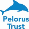 Pelorus